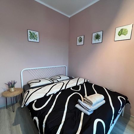 Coroama'S House Apartman Jászvásár Kültér fotó